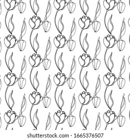Hand drawn tulips flower background vintage illustration sketch nature plant line illustration floral art drawing graphic outline design symbol