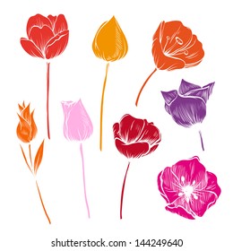 Hand drawn tulips flowers vector set