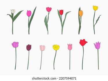 Hand drawn tulips set. Suitable for websites, Social media and layouts, Stickers, Banners, Art and collages, General use cases. Vector.