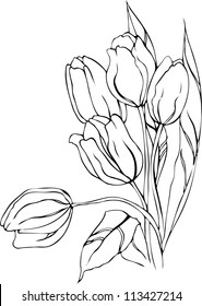 Hand drawn tulips. Vector.