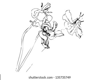Hand drawn tulips. Vector. Tulip.