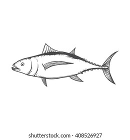 hand drawn tuna fish 
