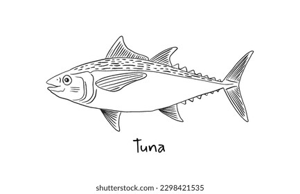 Hand drawn tuna fish in sketch style. Simple vector isolated illustration on white background