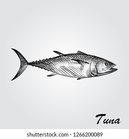 Hand Drawn Tuna Sketch Symbol isolated on white background. Vector of Fishing elements In Trendy Style. Sketch of saltwater sea or freshwater river fish species flounder