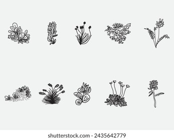 hand drawn tundra plant flower outline doodle icon .Wild north herbs, forest flora with titles isolated on white background 