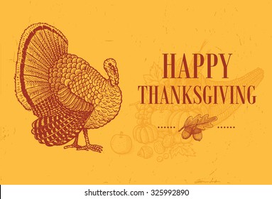 Hand drawn of Turkey and Thanksgiving basket with fruits as a background