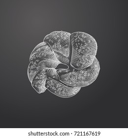 Hand Drawn turkish simite Sketch Symbol isolated on chalkboard. Vector Turkish cuisine Element In Trendy Style