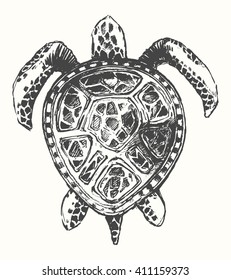 Hand drawn turtle illustration, logo template
