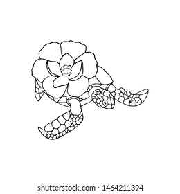 Hand drawn turtle illustration. Sketch vector isolated turtle with flower.