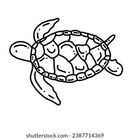 Hand drawn of turtle, vector illustration art.