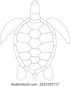 hand drawn turtle, vector illustration of turtle