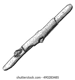 Hand drawn twig branch. Ink illustration wood twig, isolated nature forest object, tree branch, stick. Highly detailed ink art in engraved style. Rustic design, classic drawing element. Vector.