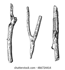 Hand drawn twig branches set. Ink illustration wood twig collection, isolated nature forest object, tree branch, stick bundle. Highly detailed ink art classic drawing elements. Vector.