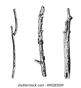 Hand drawn twig branches set. Ink illustration wood twig collection, isolated nature forest object, tree branch, stick bundle. Highly detailed ink art classic drawing elements. Vector.