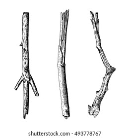 Hand drawn twig branches set. Ink illustration wood twig collection, isolated nature forest object, tree branch, stick bundle. Highly detailed ink art classic drawing elements. Vector.