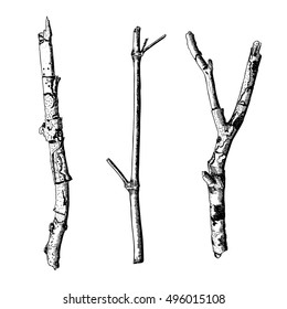 Hand drawn twig branches set. Ink illustration wood twig collection, isolated nature forest object, tree branch, stick bundle. Highly detailed ink art classic drawing elements. Vector.