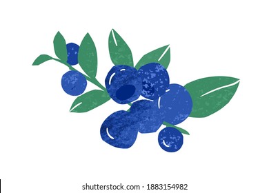 Hand drawn twig with bunch of fresh ripe wild blueberry vector flat illustration. Vitamin berries for healthy nutrition isolated on white. Fresh edible fruit plant with stem and leaves