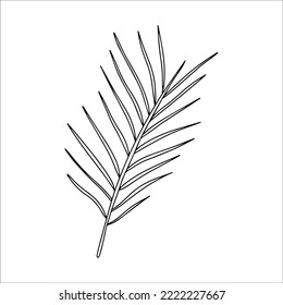 Hand drawn twig. Doodle vector illustration