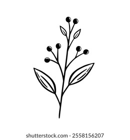 Hand drawn twig with leaves and berries. Botanical element. Flat vector illustration isolated on white background.