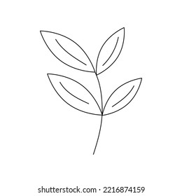 Hand drawn twig with leaves in line art doodle style. Botanical decorative element. 