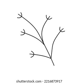 Hand drawn twig in line art doodle style. Botanical decorative element. 