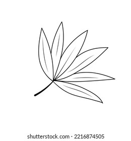 Hand drawn twig in line art doodle style. Botanical decorative element. 