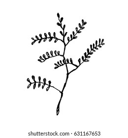 Hand drawn twig. Sketch, vector illustration.