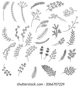 Handgezeichnete Zweige und Blumen Set. Doodle Line Stil.