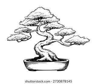 Dibujado a mano de un bonsái retorcido en una olla con un fondo blanco. bonsái, árbol, planta. dibujado a mano de un bonsái retorcido en...