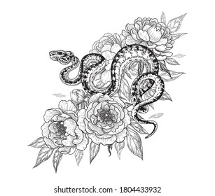 Hand drawn twisted snake among peony flowers isolated on white. Vector monochrome spotted garden tree boa and peonies. Floral illustration in vintage style, t-shirt design, tattoo art, coloring page.