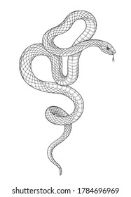 Hand drawn twisted snake isolated on blank background. Vector monochrome serpent side view. Black and white animalistic illustration in vintage style, t-shirt design, tattoo art, coloring page.