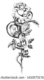 Hand drawn twisted Snake and rose on high stem isolated on white. Monochrome serpent and flower. Floral vertical composition in vintage style, t-shirt design, tattoo art. 