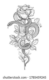 Hand drawn twisted Snake and rose bud on tall stem isolated on white. Vector monochrome serpent and flower. Floral vertical illustration in vintage style, t-shirt design, tattoo art, coloring page.
