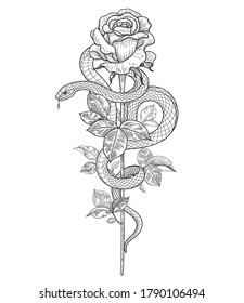 Hand drawn twisted Snake and rose bud on high stem isolated on white. Vector monochrome serpent and flower. Floral vertical illustration in vintage style, t-shirt design, tattoo art, coloring page.