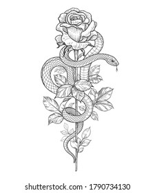 Hand drawn twisted Snake and rose bud on high stem isolated on white. Vector monochrome serpent and flower. Floral vertical illustration in vintage style, t-shirt design, tattoo art, coloring page.