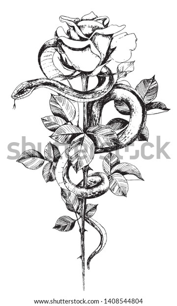 白い背景に手描きのねじった蛇とバラ 白蛇と花 ビンテージスタイルの花柄の垂直イラスト Tシャツデザイン タトゥーアート のベクター画像素材 ロイヤリティフリー
