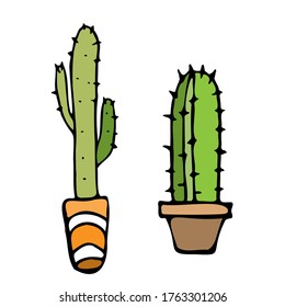 Hand drawn two cactus in flower pots