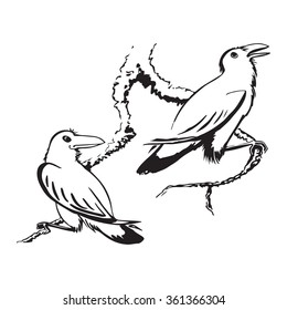 Hand drawn two crows