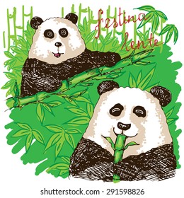 Hand drawn two cute pandas eating green bamboo. Make haste slowly   - inscription in latin. 