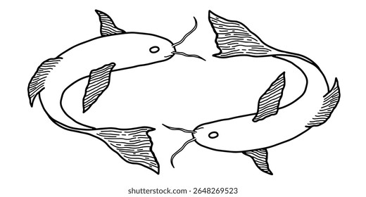 Hand drawn two harmonious Koi fish vector illustration