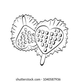 Hand Drawn Two Lollipops in the Shape of Heart on Stick. Illustration of a Sketch Style on White