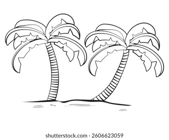 hand drawn two palm trees coconut.