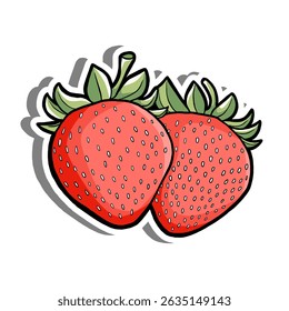 Hand Drawn Two Red Strawberries Elements Outline. Vector Illustration about Fruit.