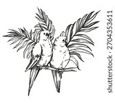 hand drawn two sitting on twig parrot cockatoo in tropical forest palm leaves, vector illustration of wildlife exotic birds, ink monochrome engraving sketch of tropical rainforest, line art picture
