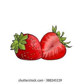 Hand drawn  two strawberries over white background