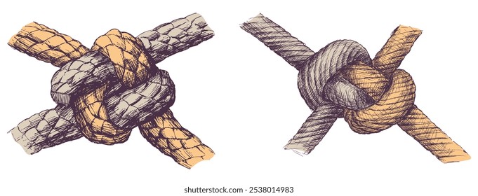 Mão desenhado dois nós náuticos fortes de cordas de manipulação, ilustração vetorial isolado no branco