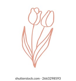 desenhado à mão de dois elementos tulipas