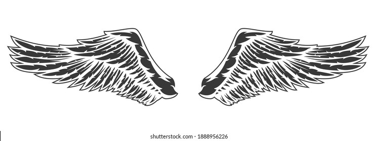 Hand drawn two wing with feathers isolated on white background. Cartoon design element for tattoo, label, branding. Vintage vector illustration.