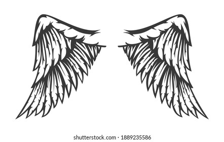 Hand drawn two wing with feathers isolated on white background. Cartoon design element for tattoo, label, branding. Vintage vector illustration.