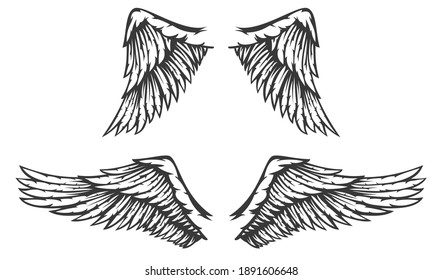 Hand drawn two wing with feathers isolated on white background. Cartoon design element for tattoo, label, branding. Vintage vector illustration.